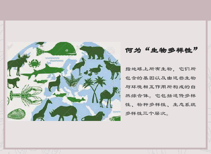 《生物多样性公约》缔约方大会第十五次会议第二阶段会议会期会址调整
